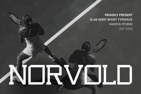 Novoid: Elevate Your Designs with a Futuristic Glitch Font